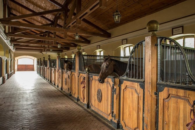 Sowiniec Polo Club