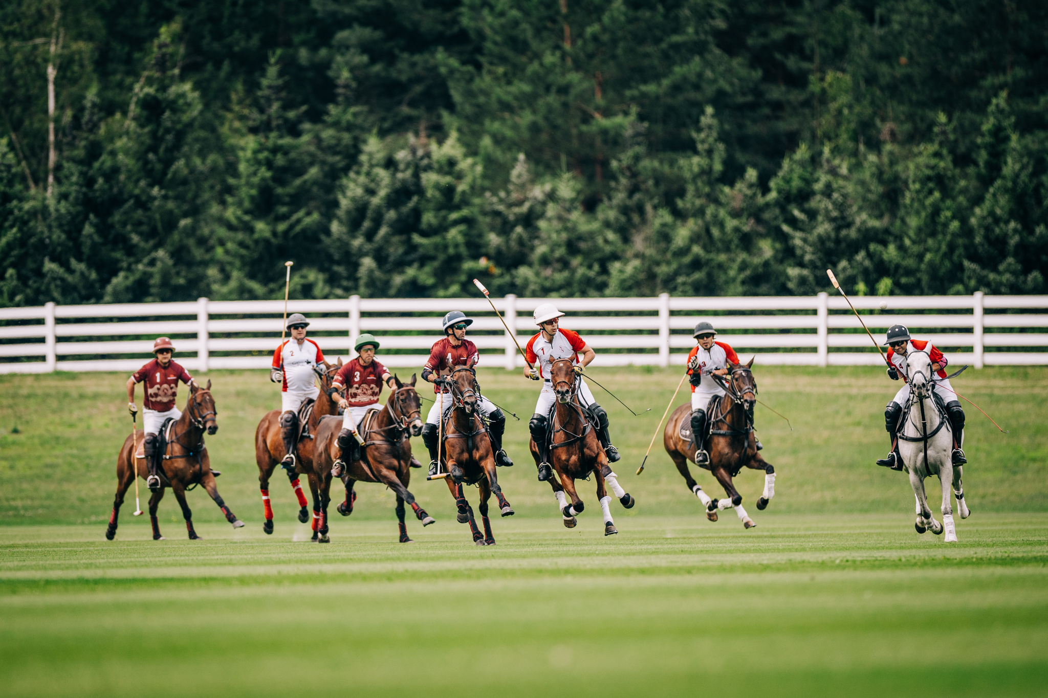 Sovo Polo Cup