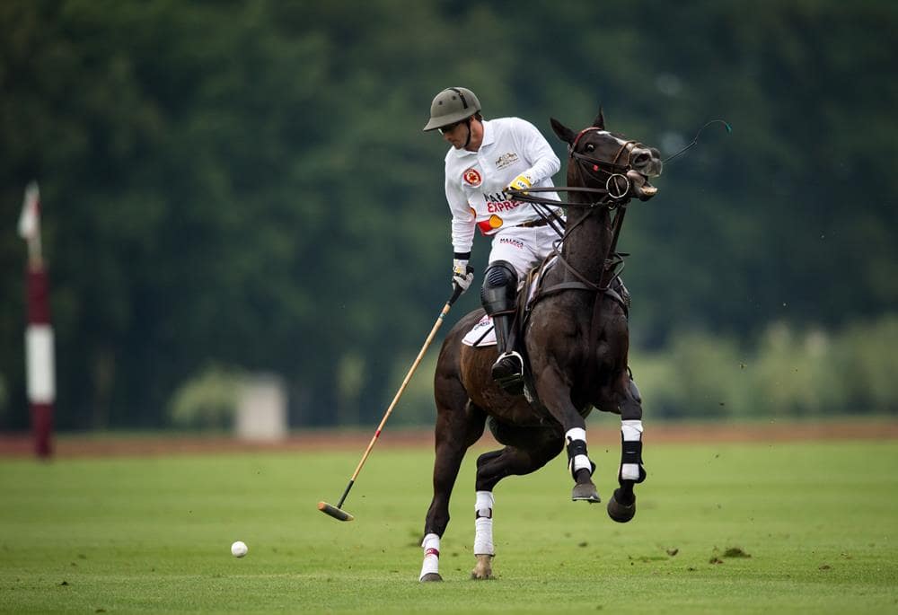 Sowiniec Polo Cup