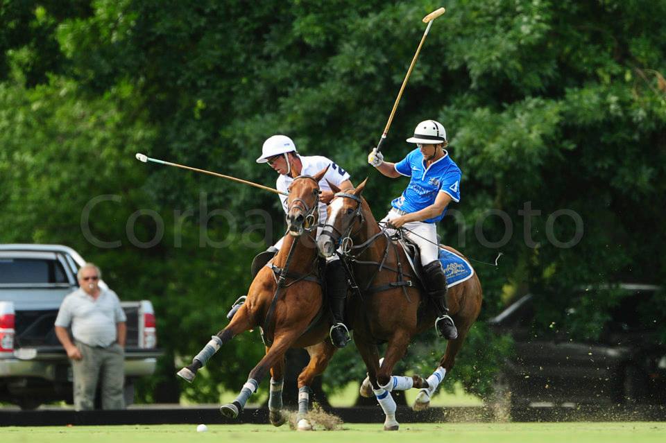 Ambasador Polo Cup